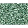 25 Grams 11-1074 Miyuki Galv. Sea Green Seed Beads